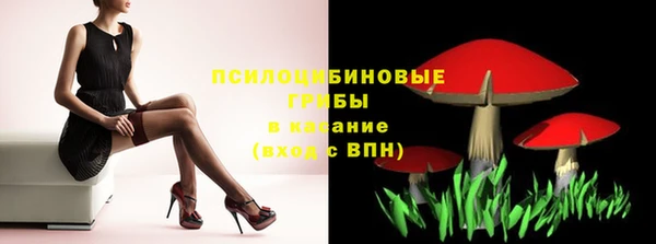 a pvp Лиски