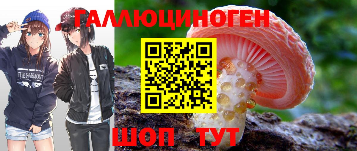 Псилоцибиновые грибы Psilocybe  купить закладку  Домодедово 