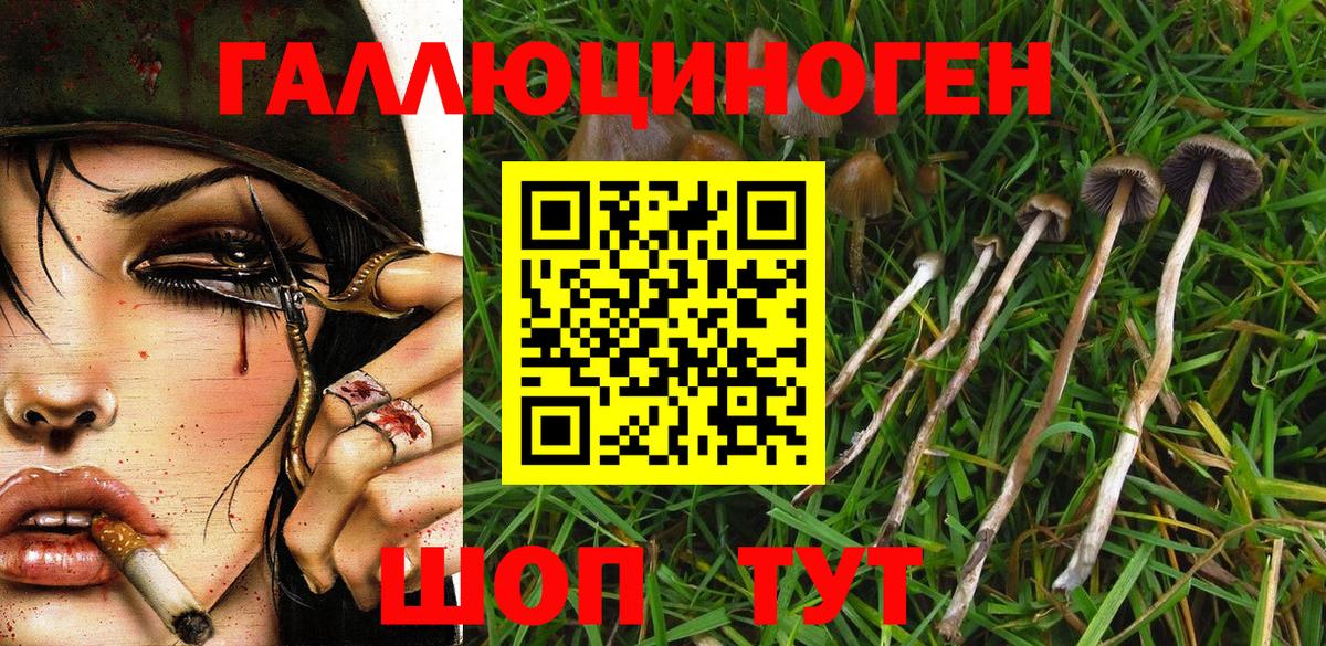 Галлюциногенные грибы прущие грибы Домодедово