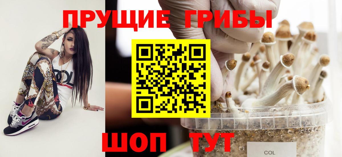Псилоцибиновые грибы GOLDEN TEACHER Домодедово